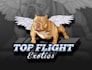 design a frenchie, kennel or dog logo