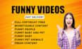 create monetizable funny animal videos and shorts for youtube