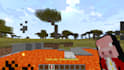 make you a mc totem texturepack with your skin