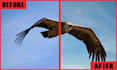 resize, upscale, sharpen, denoise and enhance your photos