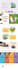 create responsive wordpress wix shopify and webflow websites