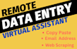 do remote data entry, copy paste any types of industries
