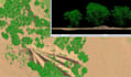 do lidar point cloud data classification