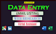 do typing copy paste excel word and web recharge data entry
