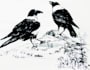 draw an amazing pen and ink illustration