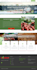 create or fix your wordpress site for you