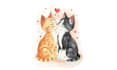 draw handmade watercolor any illustration