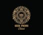 provide professional steampunk logo