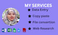 do professional data entry and web research job