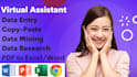 do web search and excel data entry