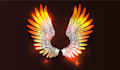 design super wings logo with source file in 12 hours