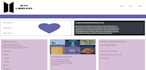 professional website design in low budget