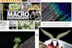 teach about closeup, macro, and micro photography