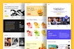 do responsive landing page or website UX UI design