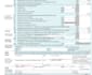 prepare USA tax efile 2025 as an enrolled agent tax expert