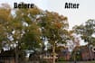 edit an album or group of photos