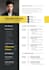 make and write a professional resume for you to get your dream job
