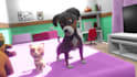 create a 2d cartoon animation or 3d cartoon animation video