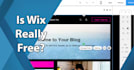 design wix website or design wix build