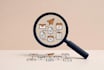 audit your business admin workflow and deliver an ai powered action plan in 48h