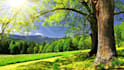 fantasy dnd background, landscape and environment art