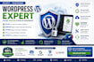 do wordpress website maintenance and cyber security