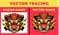 do any kind of graphics designing work in adobe illustrator