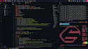 write a python script to extract data from tiktok