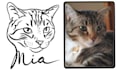 draw custom pet line art portrait for tattoo or print