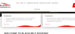 create a professional ecommerce wordpress and shopify store