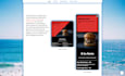 write custom search engine optimized wordpress content