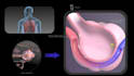 create 2d or 3d medical animations for you