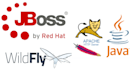 set up jboss, weblogic, SSL, wildfly, tomcat, lamp and glassfish servers