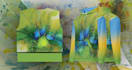 all over sublimation hoodie design