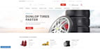 build, design professional wordpress bussiness website or blog