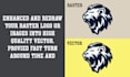 do vector tracing or convert to vector high quality