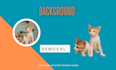 background removal from images, logo design