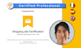 setup profitable PPC google shopping, pmax performance max