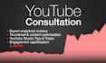 provide expert consultation on growing your youtube channel