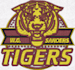 do jacket back embroidery digitizing into dst files