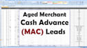 provide aged merchant cash advance leads
