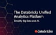 help you with data bricks