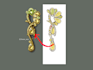 design jewelry pieces or refine your sketch