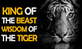 create trending motivational inspirational videos
