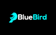 make professional business logo design for you within 24