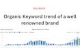 do effective SEO services to boost your websites visibility