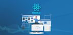 do professional web application development using javascript