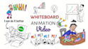 create a professional whiteboard animation explainer video
