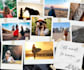 design anything in canva pro