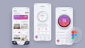 build custom UI full functional in flutter for android and ios app